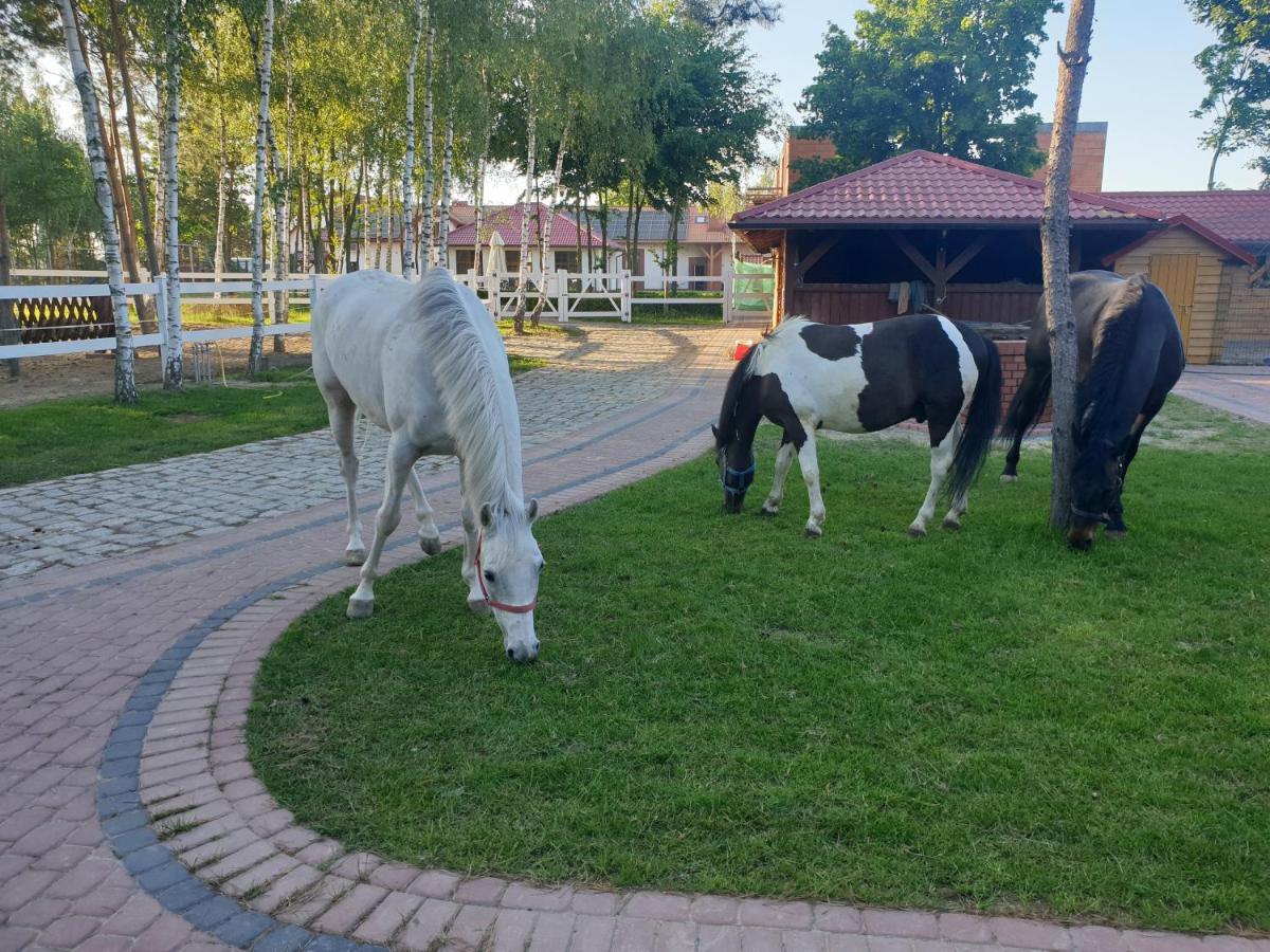 Ośrodek Agroturystyczny Zacisze Giewartów