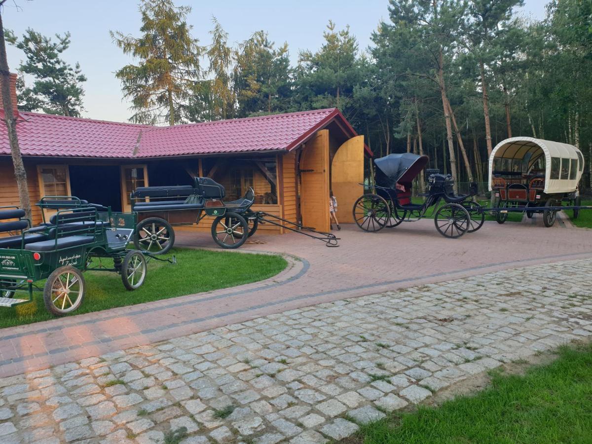 Ośrodek Agroturystyczny Zacisze Gospodarstwo agroturystyczne Giewartów