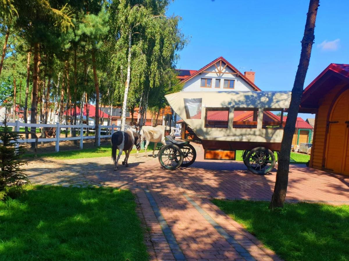 Ośrodek Agroturystyczny Zacisze Giewartów