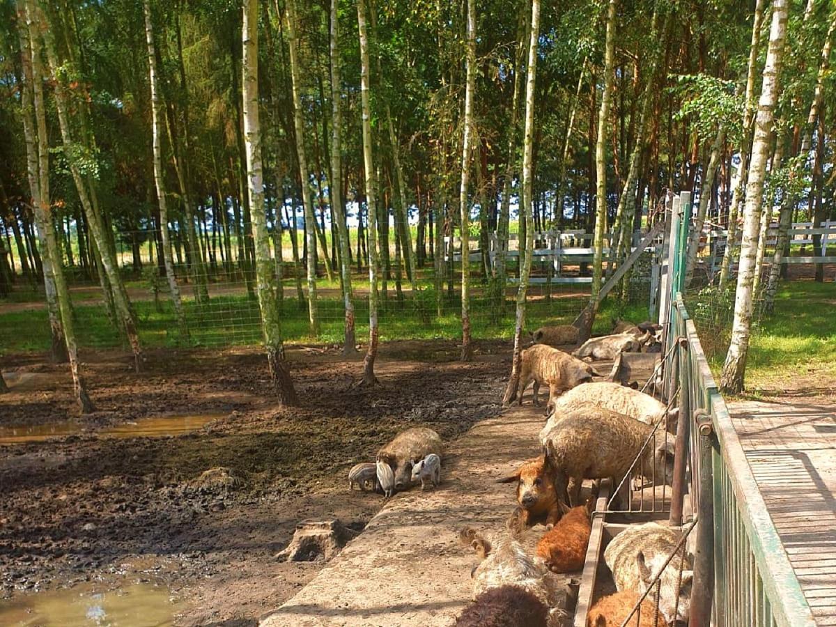 Osrodek Agroturystyczny Zacisze *