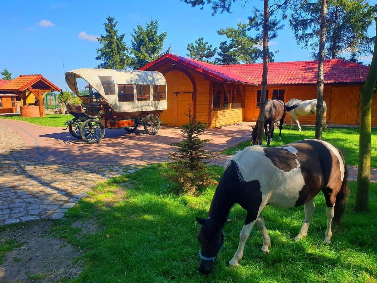 Ośrodek Agroturystyczny Zacisze Gospodarstwo agroturystyczne Giewartów